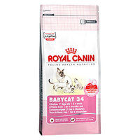 royal_canin_babycat_34.jpg