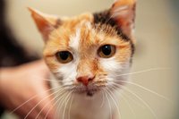 пиар1.jpg (25.55 КБ) 2016 просмотров пиар1.jpg