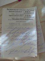 назначили2.jpg