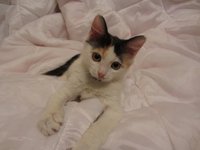 IMG_0954.jpg