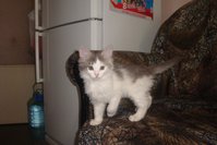 DSC02859.JPG