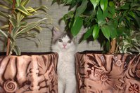 DSC02870.JPG
