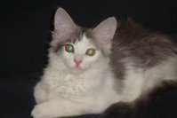 DSC02877.JPG