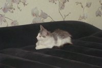 DSC02875.JPG