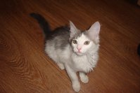 DSC02873.JPG