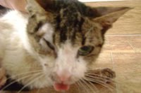 DSC00761.JPG