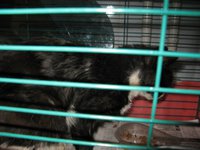 IMG_3714.jpg