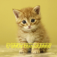 3c4db16bbe0e.gif