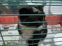 IMG_3726.jpg