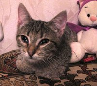 IMG_0965.JPG