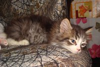 DSC02887.JPG