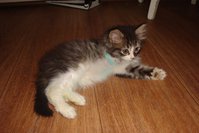 DSC02891.JPG