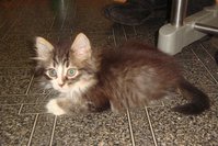 DSC02898.JPG