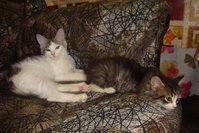 DSC02884.JPG