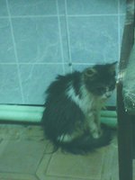 IMG00026.jpg