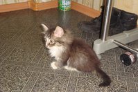 DSC02894.JPG