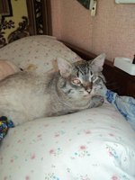 DSC02787.JPG