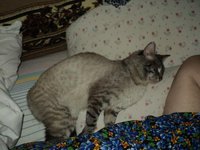 DSC02788.JPG