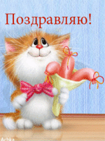 946285.gif