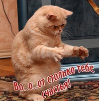 открытка.jpg