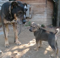 мои 004.jpg