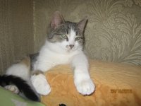 IMG_1372.JPG