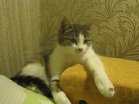 IMG_1373.JPG