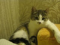 IMG_1376.JPG