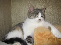 IMG_1377.JPG