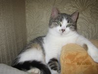 IMG_1378.JPG