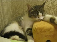 IMG_1380.JPG