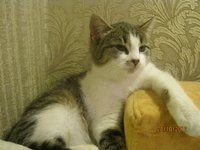 IMG_1381.JPG