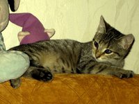 IMG_1042.JPG