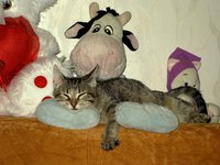 IMG_1047.JPG