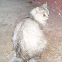 DSC04574.JPG