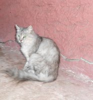 DSC04580.JPG