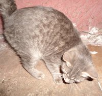 DSC04544.JPG