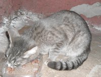 DSC04579.JPG
