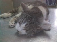 IMG00214.jpg