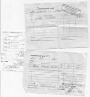 чеки Антонины Викторовны. еда для Атланта.jpg
