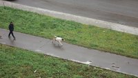 DSC04256.JPG