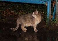 IMG_2510.jpg