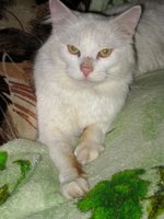 IMG_1155.JPG