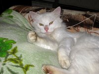 IMG_1151.JPG
