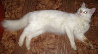 IMG_1164.JPG
