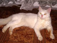 IMG_1169.JPG