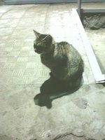 IMG00049.jpg