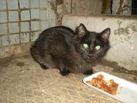 DSCN5479.JPG