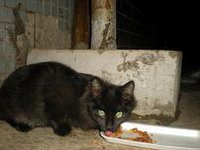 DSCN5480.JPG