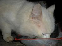 DSCN5535.JPG